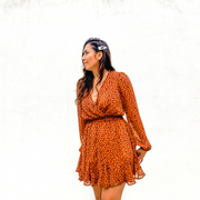 Cheetah Long Sleeve Dress